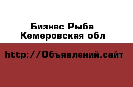 Бизнес Рыба. Кемеровская обл.